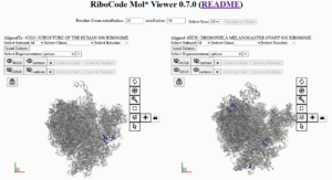 screenshot of the ribocode mol viewer tool